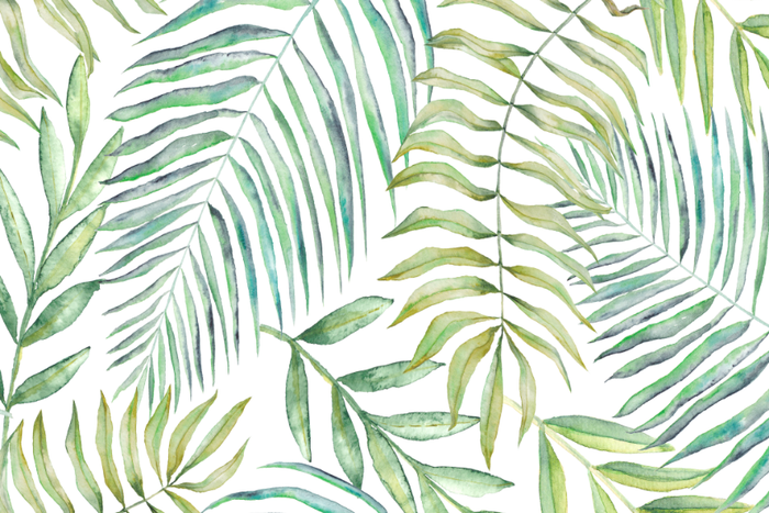Tropical Watercolor Leaves