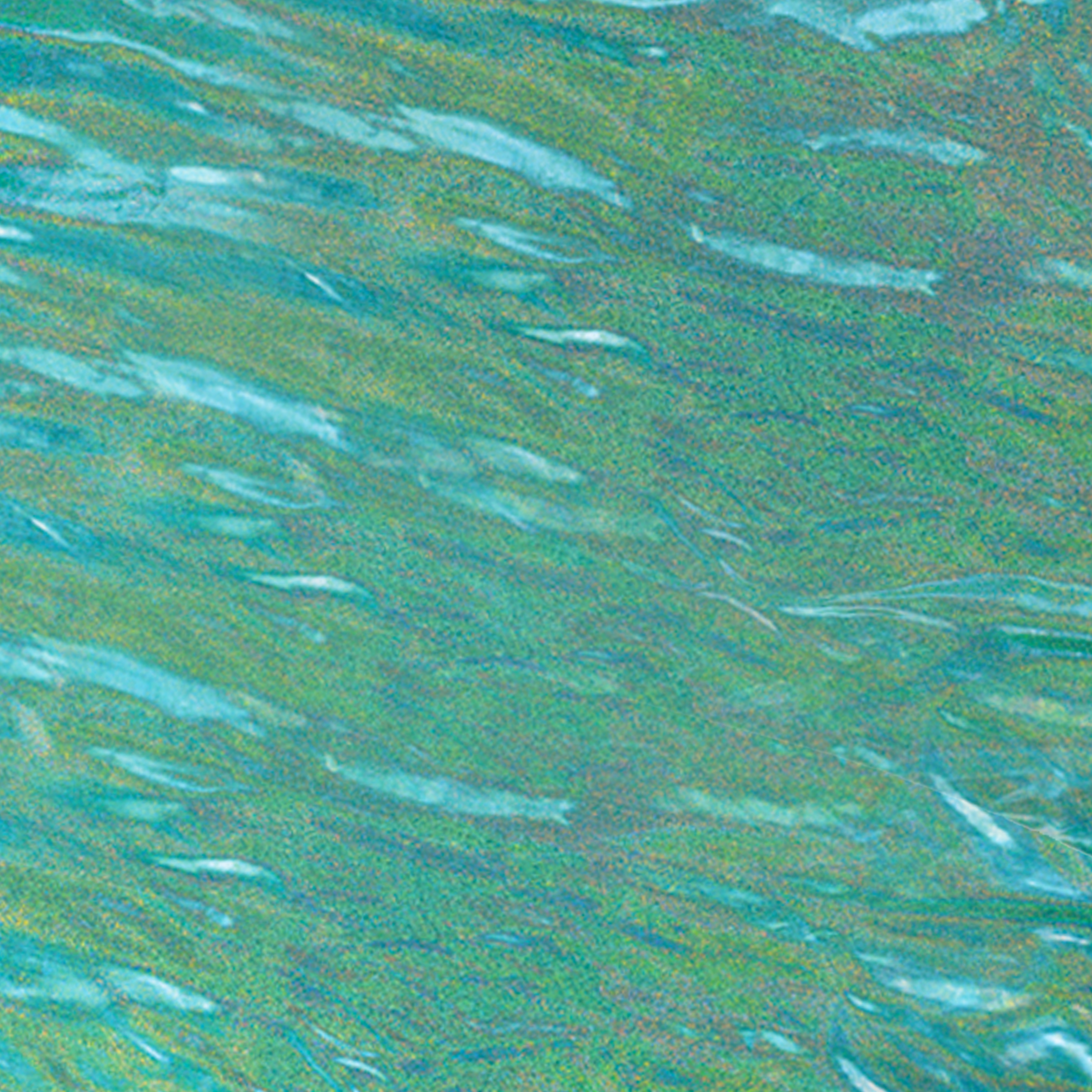 Tela: Mardi Gras Lamé