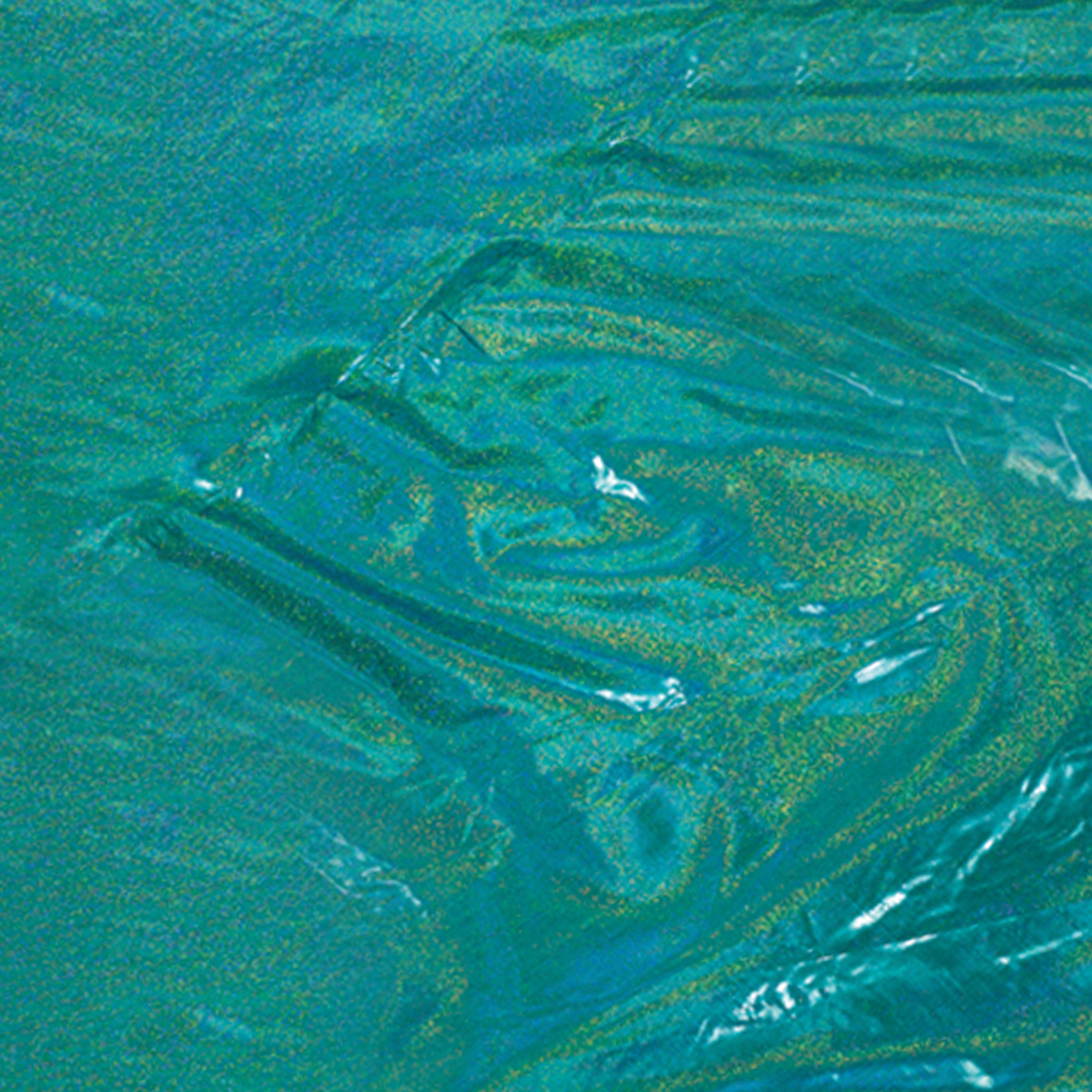 Tela: Mardi Gras Lamé