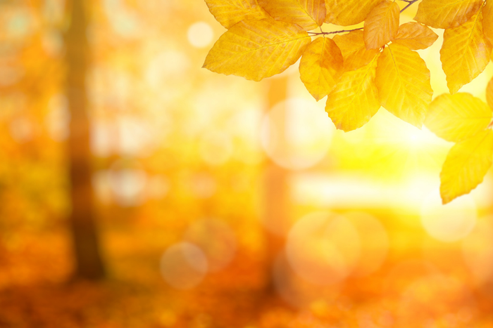 A Beautiful Autumn Day