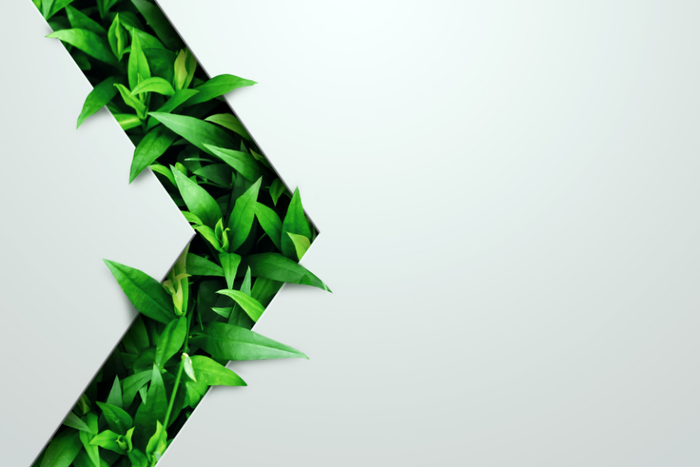 Angled Leaves
