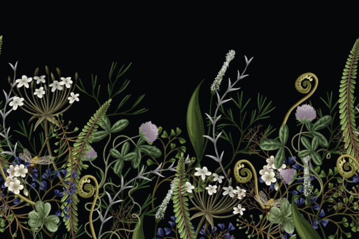 Fairy Garden