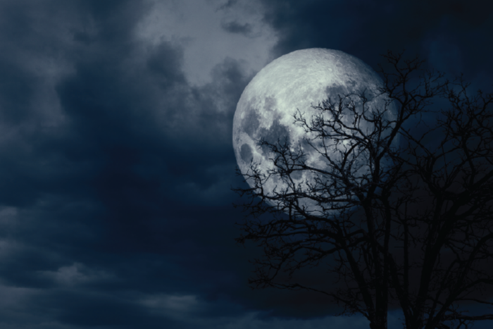 Full Moon