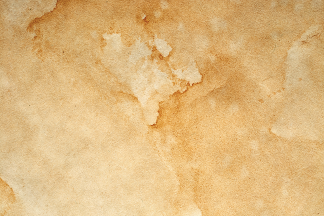 Parchment Texture