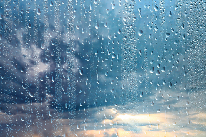 Rainy Window