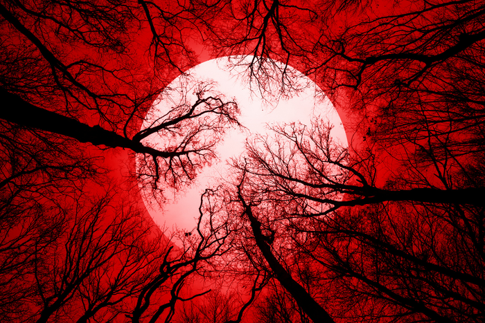 Red Moon