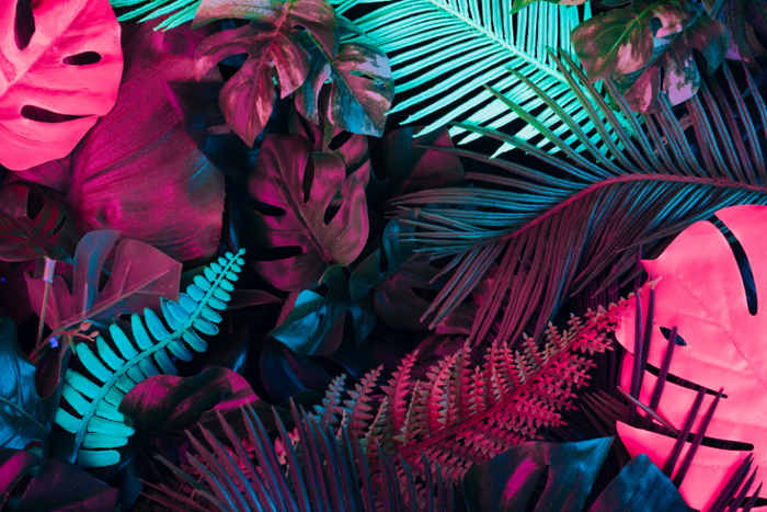 Tropical Leaves