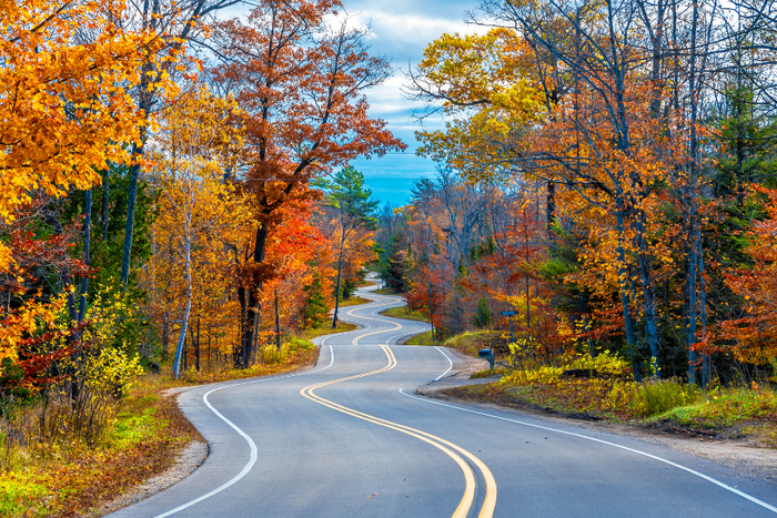 Winding Autumn Road
